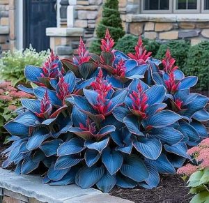 Хоста Грин Фог купить по цене от 669р. в интернет-магазине «Посадика» с доставкой почтой в в Дмитровске и по всей России – [изображение №1].