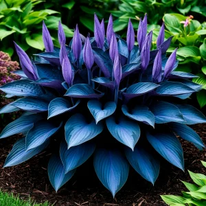 Хоста Сикрет Гров купить по цене от 570р. в интернет-магазине «Посадика» с доставкой почтой в в Дмитровске и по всей России – [изображение №1].